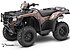 2019 Honda FourTrax Foreman Rubicon for sale 200605852